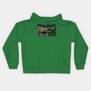 Frog Kids Hoodie